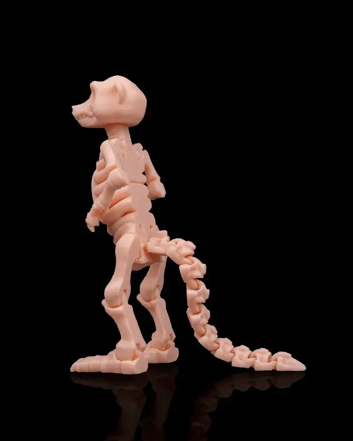 Skeleton_Meerkat_4_6ab3cca11c.webp