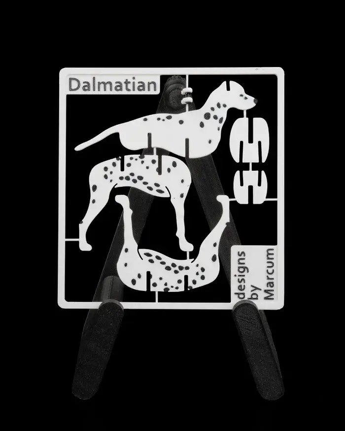 Dalmatian_Kit_Card6_55760bb757.webp