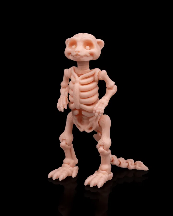 Skeleton Meerkat (Branco)