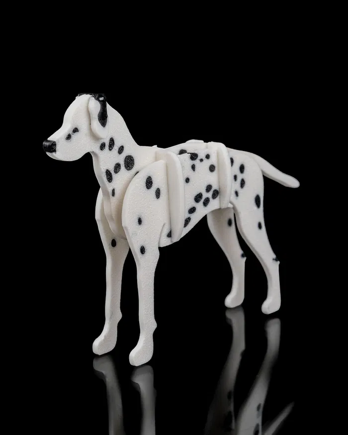 Dalmatian Kit Card
